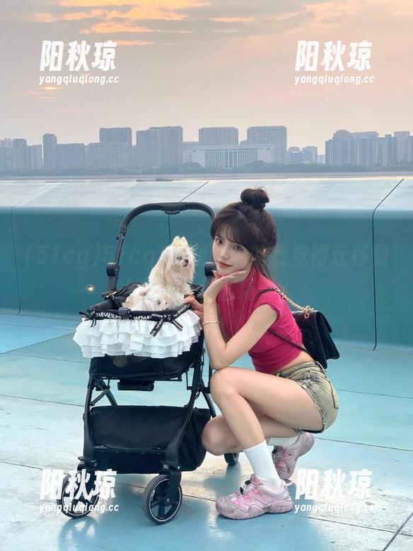51cg 51cg1网址:为啥我觉得迁移到火星也没那么精彩?
