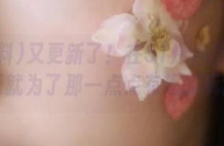 又更新了！在51爆料首页胡闹，整天就为了那一点点有趣的玩意儿。