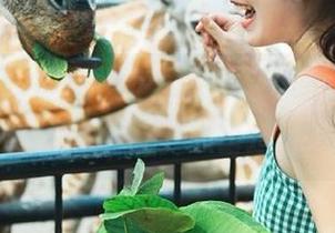 瓜田漫步，51爆料助手助你永不迷路，不看小心错过美味。
