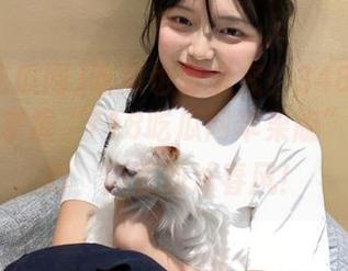 吃瓜也要讲究！348款吃瓜品类，掌握“718吃瓜网苹果版”进入技巧，简直如沐春风！