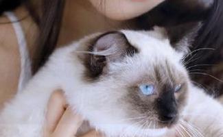 www.799.suapp，心里明明不想多看，可就是放不下啊，搞得我晚上都睡不好！