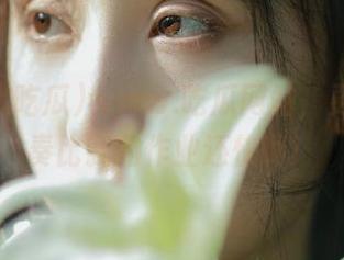 www.吃瓜网站，更新的节奏比我的作业还快啊！