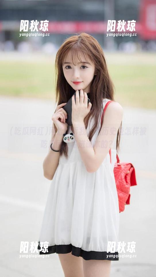 网址告诉我，黑历史是怎样被吃瓜网红写进课本的？