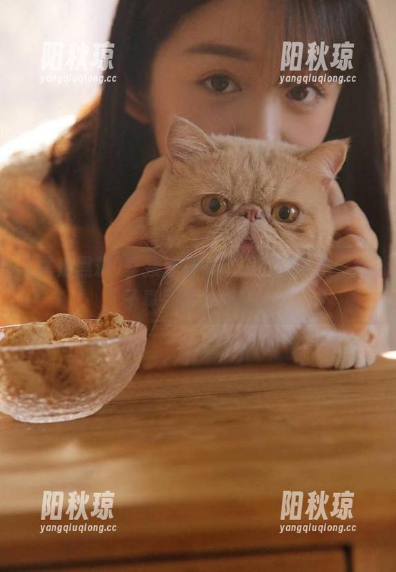 直接点开暴走黑料破解版，这下子真心够大胆的吧？