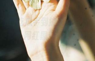 吃瓜手到擒来，每日吃瓜苹果版更新，网红黑料来了不怕哦！