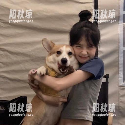 每日黑料 每日黑料的资源拼图,拼出了啥效果呢?