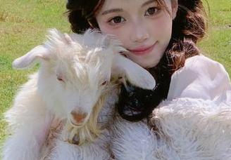 官网里藏瓜！黑料社分享的不止是内幕猫腻
