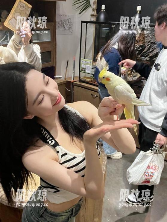 永不迷路，你的吃瓜之路就在黑料网这条视频上！